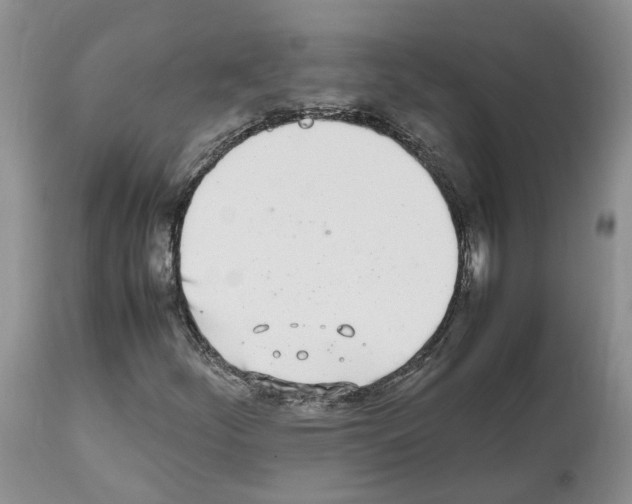 X0000112491252200909281125