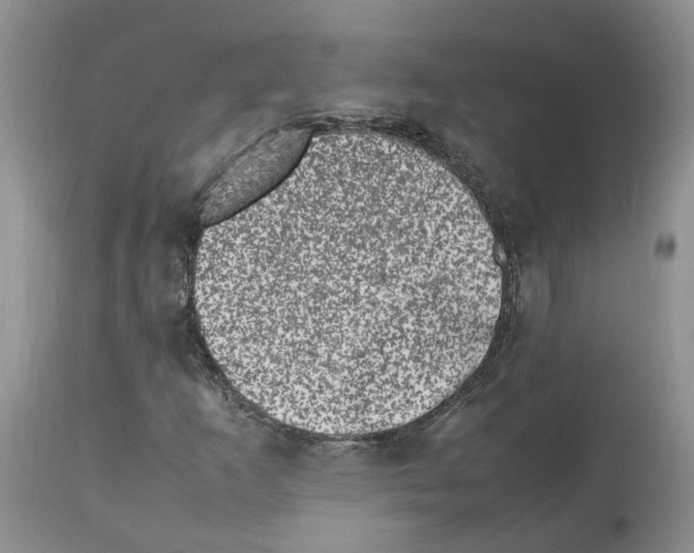 X0000112491253200909281125