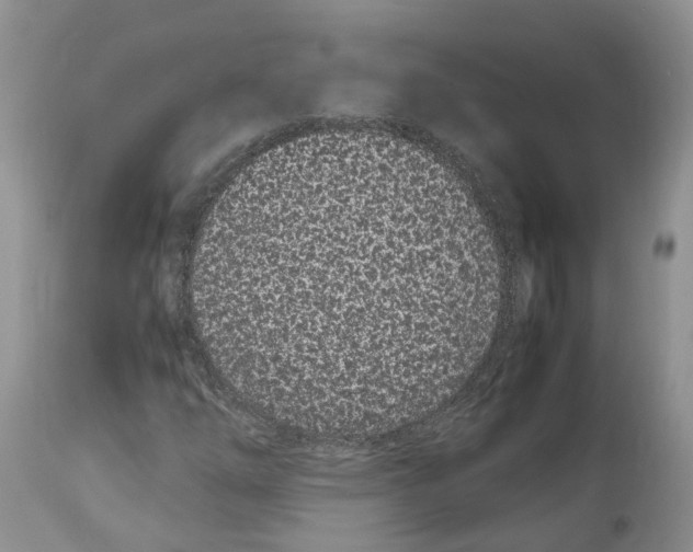 X0000112491254200909281125