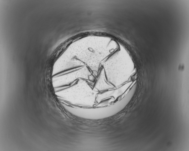 X0000112491255200909281125