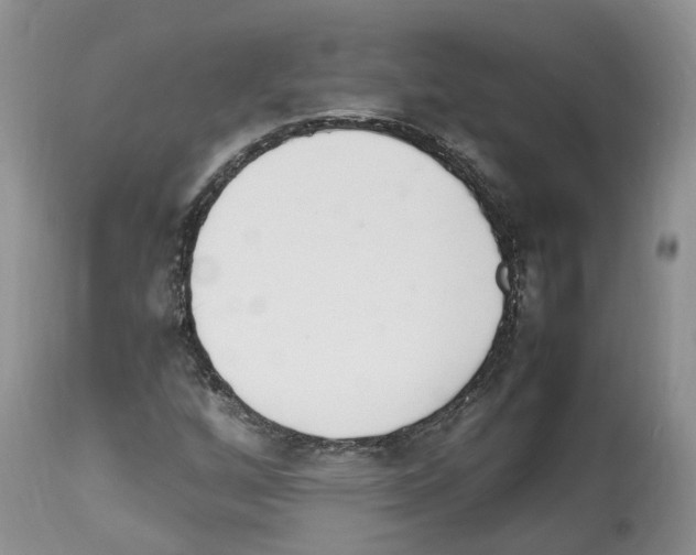 X0000112491256200909281125