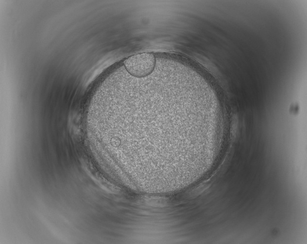 X0000112491258200909281124