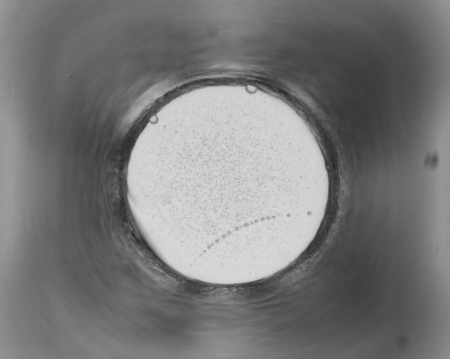 X0000112491259200909281124