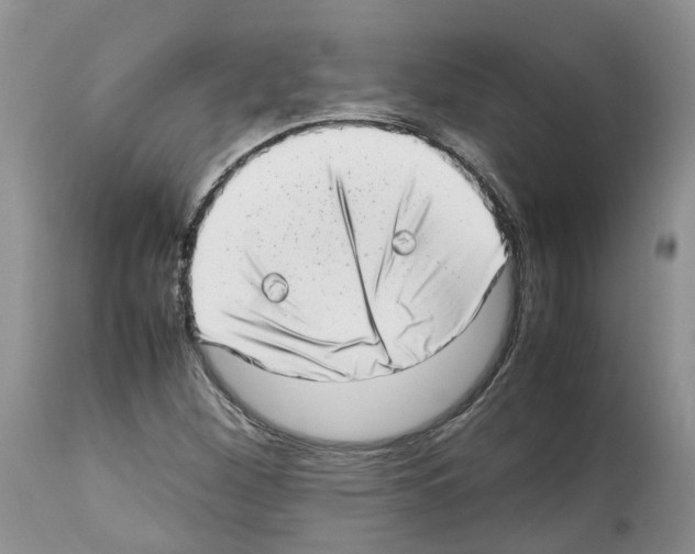 X0000112491260200909281124