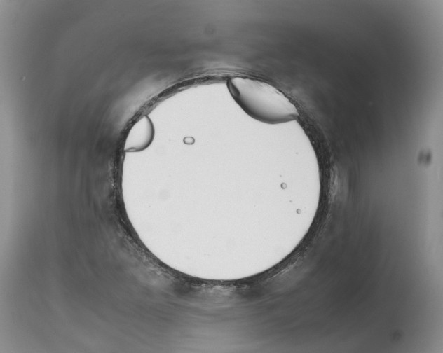 X0000112491261200909281124