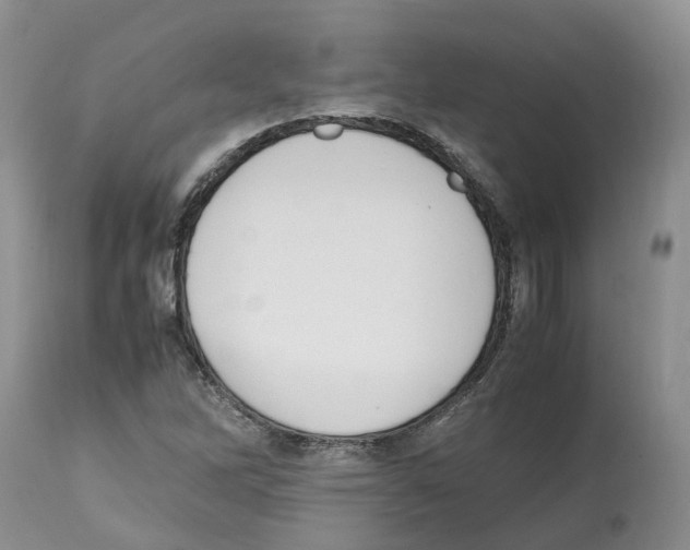 X0000112491262200909281124