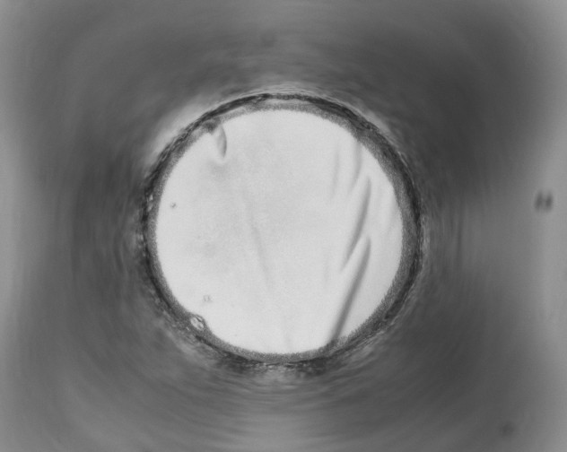 X0000112491263200909281124