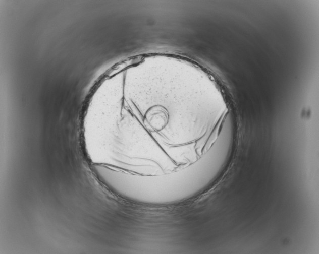 X0000112491264200909281124