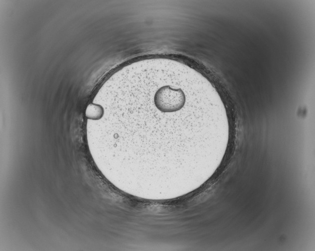 X0000112491265200909281124