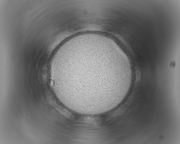 X0000112491266200909281124
