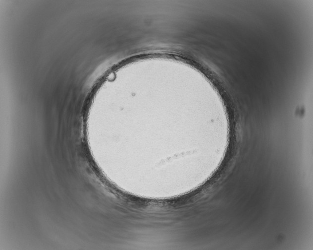 X0000112491267200909281124
