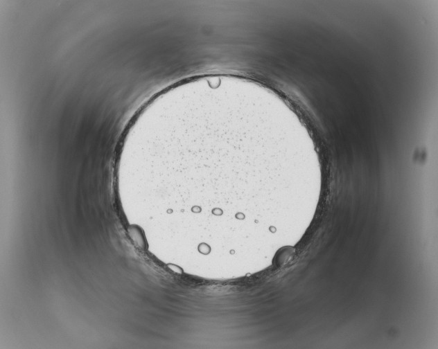 X0000112491268200909281124