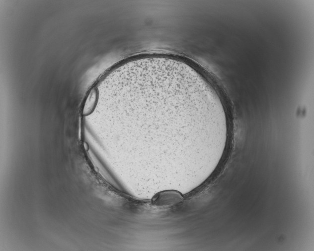 X0000112491269200909281124