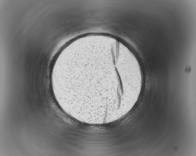 X0000112491270200909281124