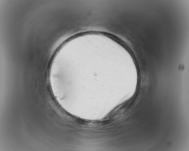 X0000112491271200909281124