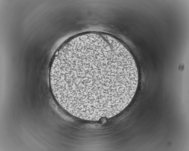 X0000112491272200909281124