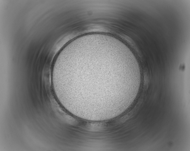 X0000112491274200909281124