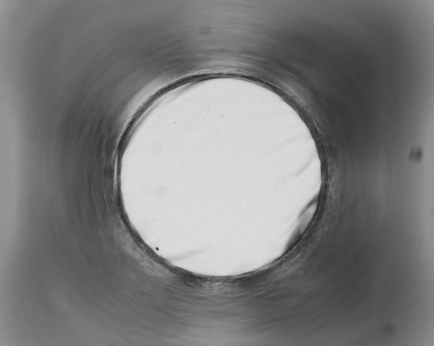 X0000112491275200909281124