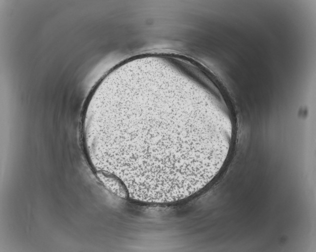 X0000112491277200909281124
