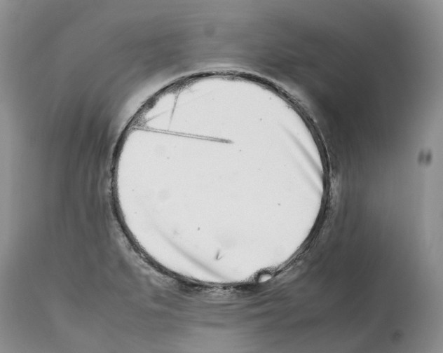 X0000112491279200909281124