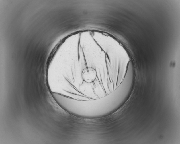 X0000112491280200909281124