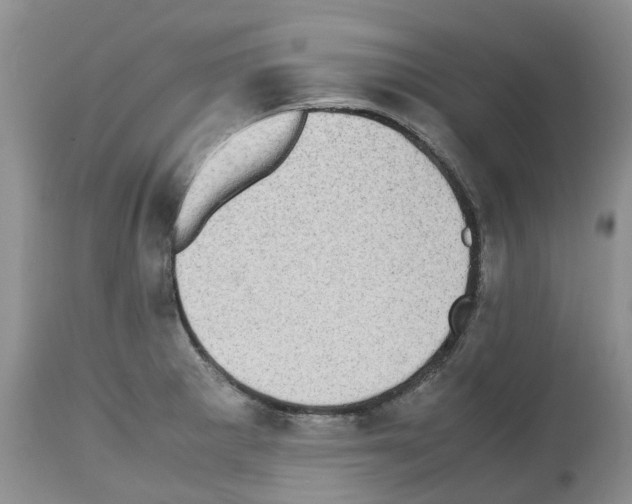 X0000112491281200909281124