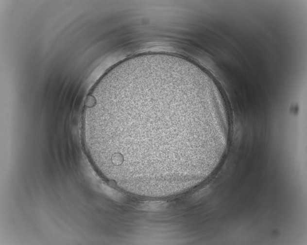 X0000112491282200909281124