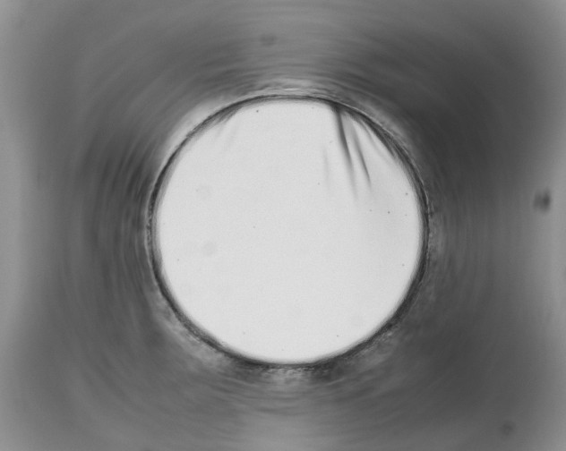 X0000112491283200909281124