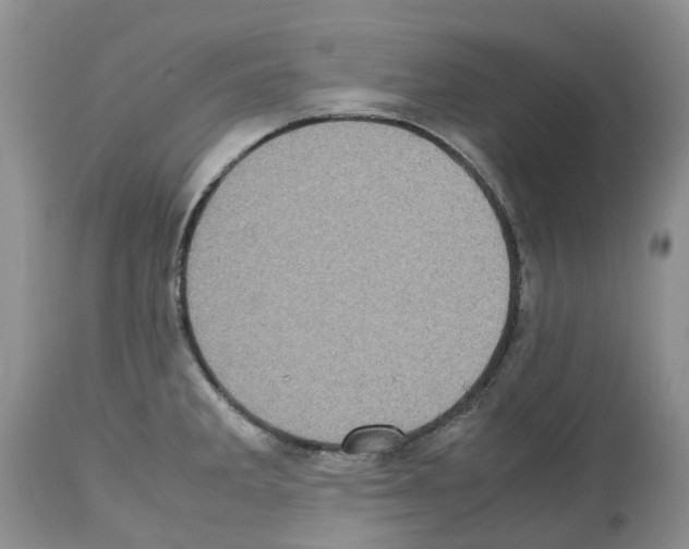 X0000112491285200909281124