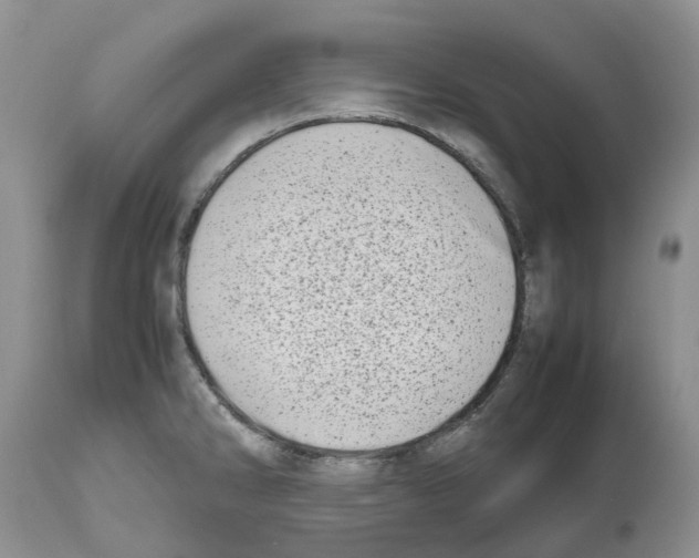 X0000112491286200909281124