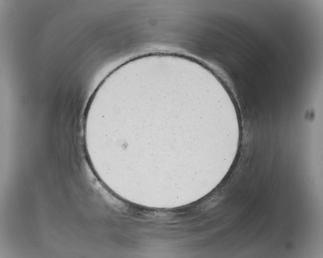X0000112491287200909281124
