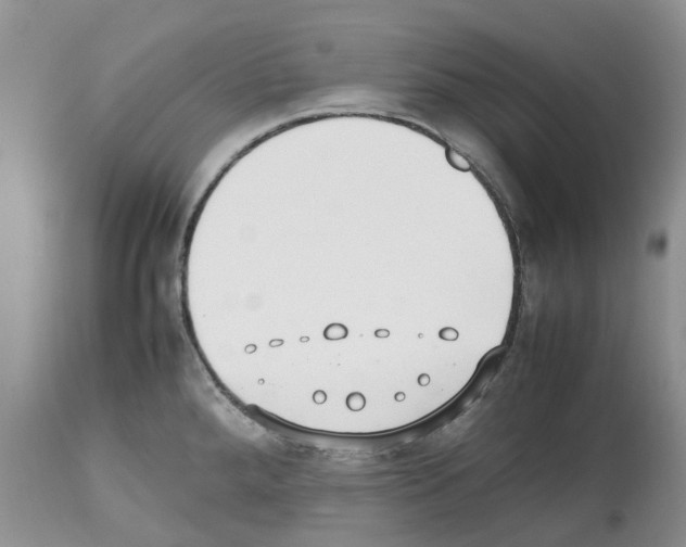 X0000112491288200909281124