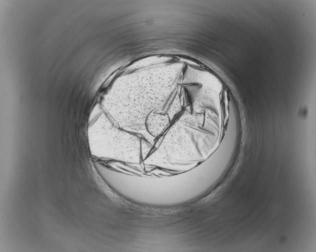 X0000112491289200909281124