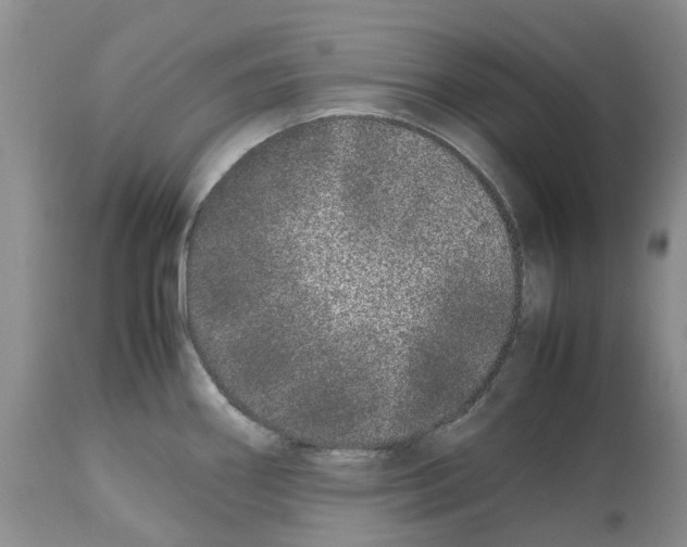 X0000112491290200909281124