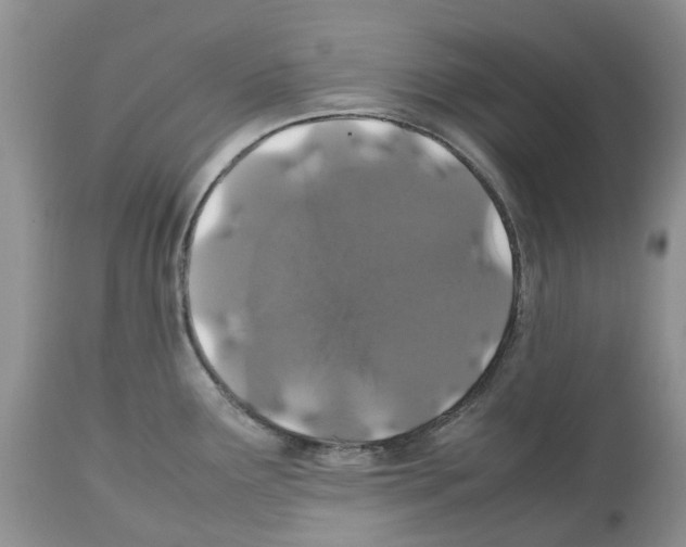 X0000112491291200909281124