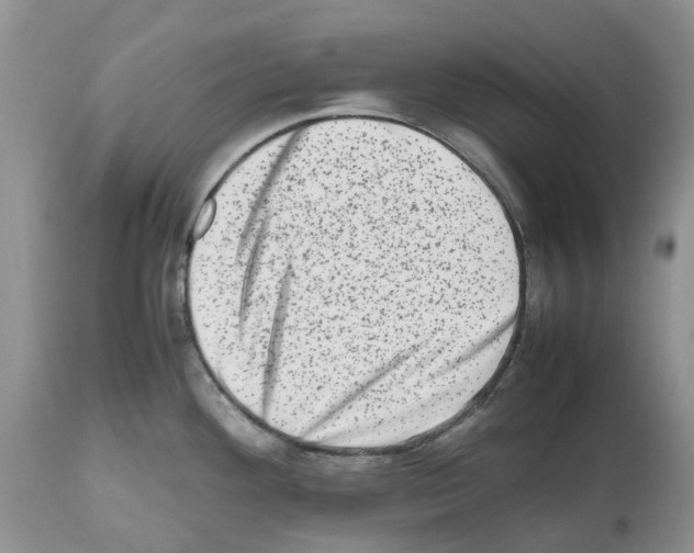 X0000112491292200909281124
