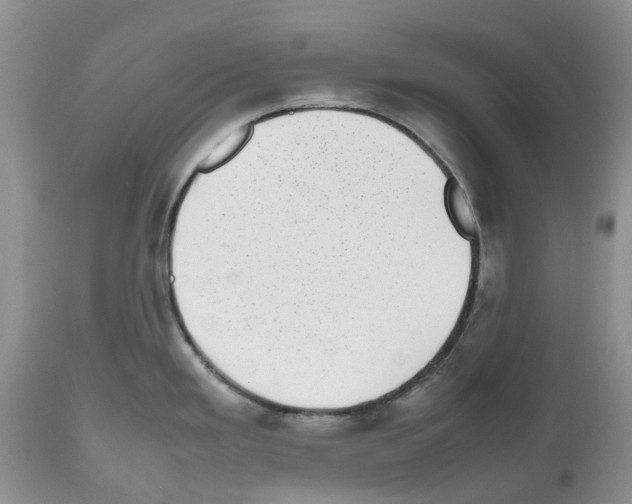 X0000112491293200909281124