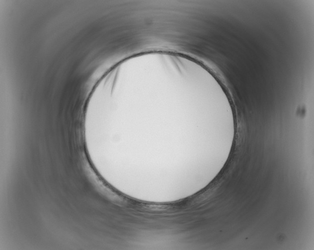 X0000112491295200909281124