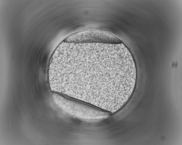 X0000112491296200909281124