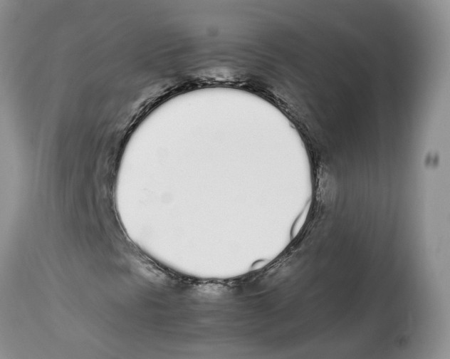 X0000112491297200909281123
