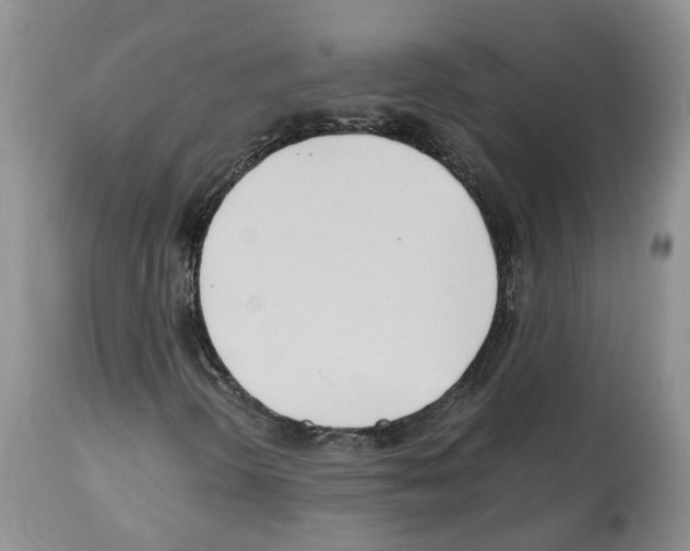 X0000112491298200909281123