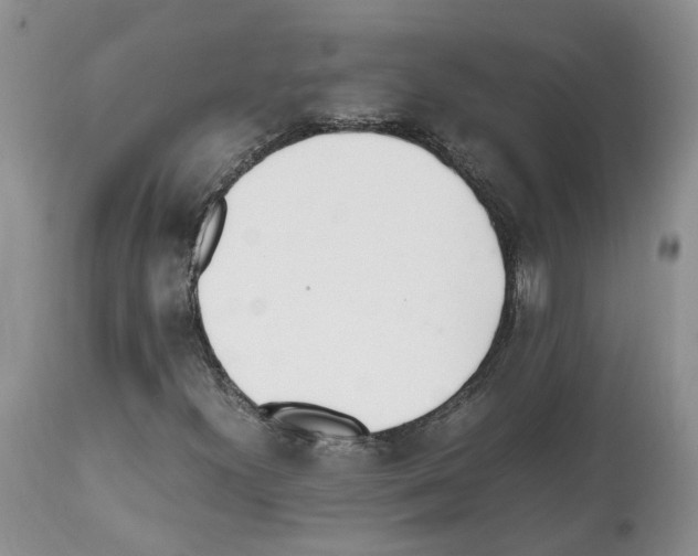 X0000112491300200909281123