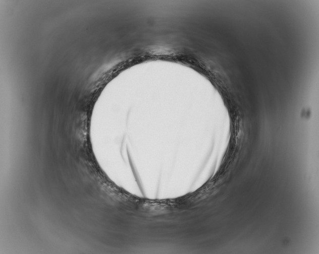 X0000112491301200909281123