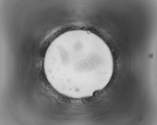 X0000112491302200909281123