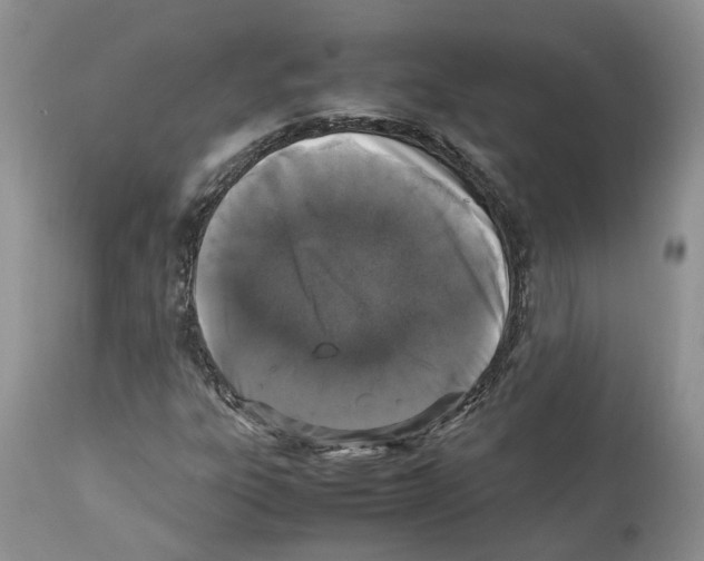 X0000112491303200909281123