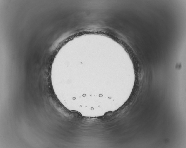 X0000112491304200909281123