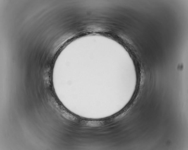 X0000112491305200909281123