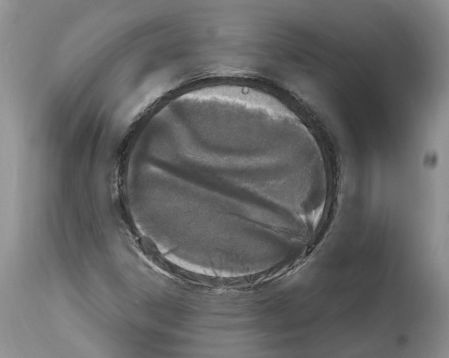 X0000112491306200909281123