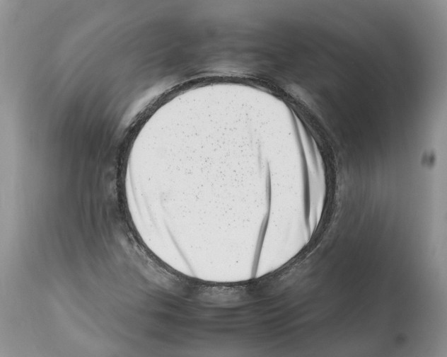 X0000112491307200909281123