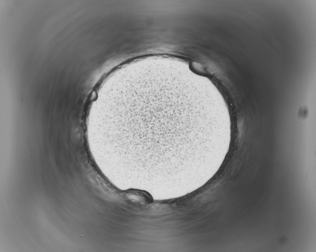 X0000112491308200909281123